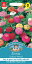 【種子】Mr.Fothergill's Seeds Zinnia Sunbow Mixedジニア(百日草) サンボウ ミックス ミスター・フォザーギルズシード 672円