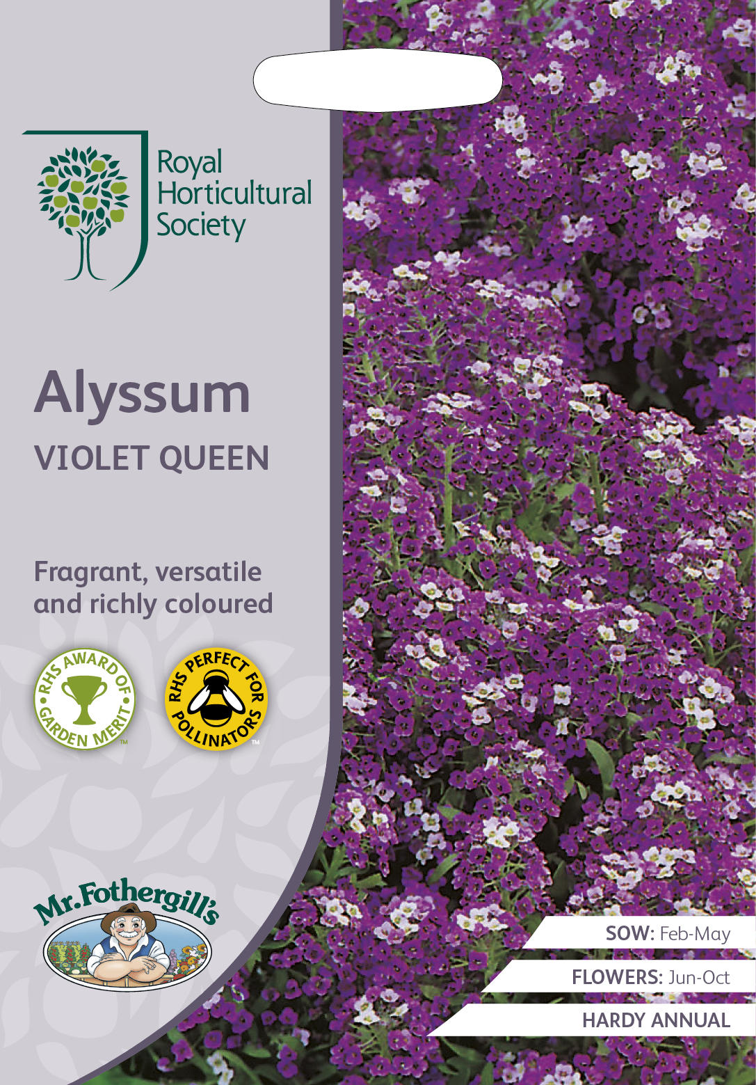 Mr.Fothergill's Seeds Royal Horticultural Society Alyssum VIOLET QUEEN RHS アリッサム バイオレット・クイーン ミスター・フォザーギルズシード