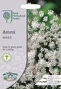 【種子】Mr.Fothergill 039 s Seeds Royal Horticultural Society Ammi MAJUS アミ マジャス（レースフラワー）ミスター フォザーギルズシード