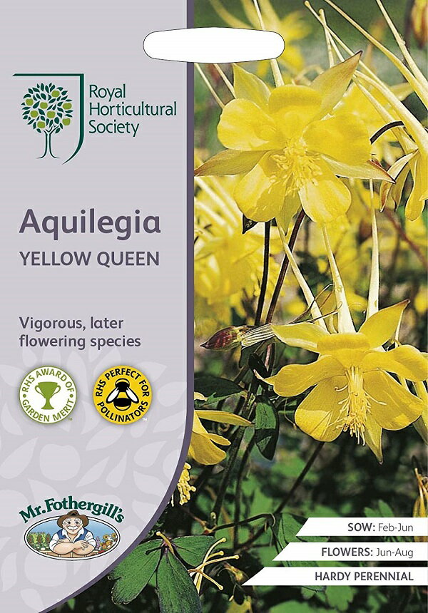 Mr.Fothergill's Seeds Royal Horticultural Society Aquilegia YELLOW QUEEN RHS アクレイジア（オダマキ） イエロー・クイーン ミスター・フォザーギルズシード