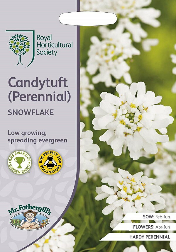 Mr.Fothergill's Seeds Royal Horticultural Society Candytuft(Perennial) SNOWFLAKE RHS キャンディタフト（ペレニアル） スノーフレーク ミスター・フォザーギルズシード