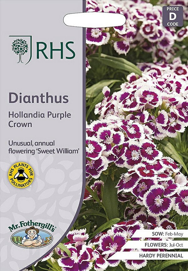 Mr.Fothergill's Seeds Royal Horticultural Society Dianthus Hollandia purple crown ダイアンサス ホランディア パープル クラウン ミスター・フォザーギルズシード