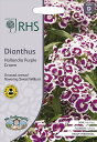 【種子】Mr.Fothergill's Seeds Royal Horticultural Society Dianthus Hollandia purple crown ダイアンサス ホランディア パープル クラウン ミスター・フォザーギルズシード
