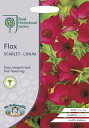 Mr.Fothergill's Seeds Royal Horticultural Society Flax(Linum) Scarlet RHS フラックス(リナム) スカーレット ミスター・フォザーギルズシード