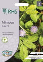 【種子】Mr.Fothergill's Seeds Royal Horticultural Society Mimosa PUDICA RHS ミモザ プディカ ミスター・フォザーギルズシード その1