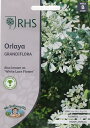 yqzMr.Fothergill's Seeds Royal Horticultural Society Orlaya Grandiflora RHS I OfBt[ ~X^[EtHU[MYV[h