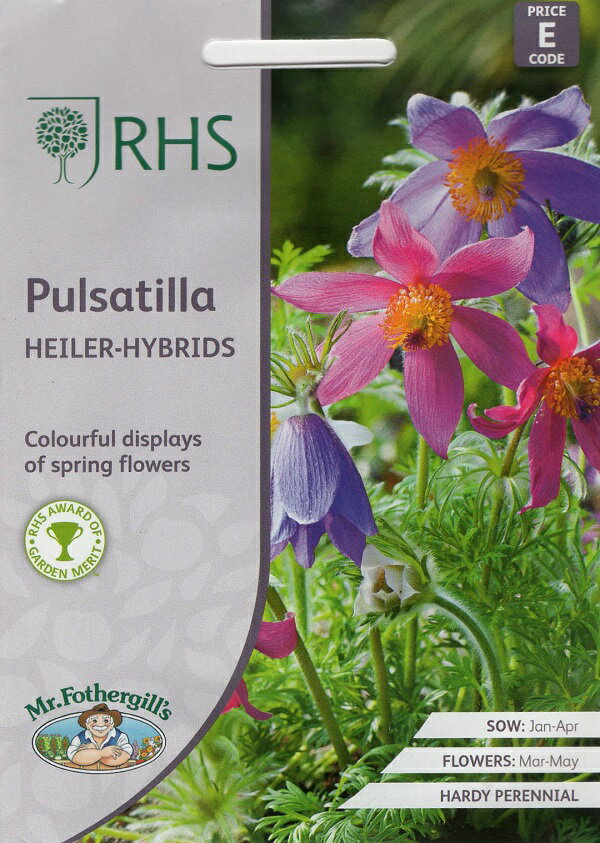 【種子】Mr.Fothergill's Seeds Royal Horticultural Society Pulsatilla Heiler-Hybrids RHS プルサティラ ハイラー・ハイブリッド ミスター・フォザーギルズシード