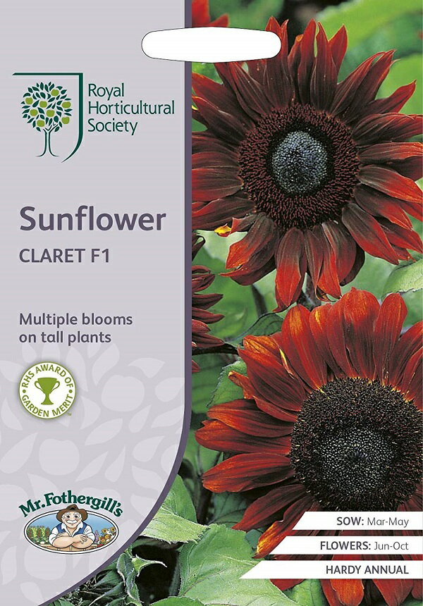 【種子】Mr.Fothergill's Seeds Royal Horticultural Society Sunflower CLARET F1 RHS サンフラワー クラレット F1 ミスター・フォザーギルズシード