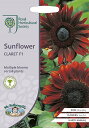 Mr.Fothergill's Seeds Royal Horticultural Society Sunflower CLARET F1 RHS サンフラワー クラレット F1 ミスター・フォザーギルズシード