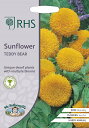 Mr.Fothergill's Seeds Royal Horticultural Society Sunflower Teddy Bear RHS サンフラワー テディ・ベア ミスター・フォザーギルズシード