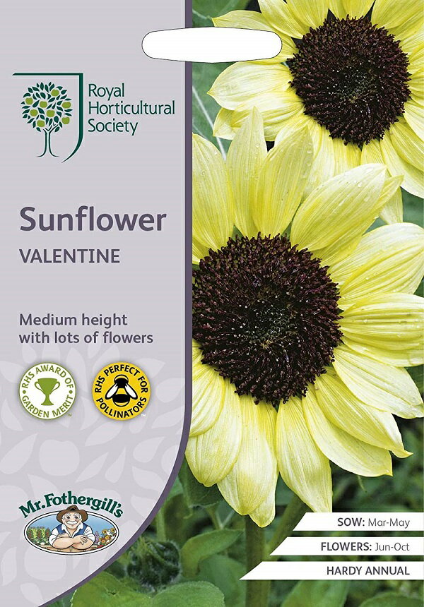 【種子】Mr.Fothergill's Seeds Royal Horticultural Society Sunflower Valentine RHS サンフラワー バレンタイン ミスター・フォザーギルズシード