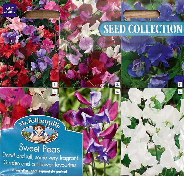 【種子】Mr.Fothergill's Seeds SEED COLLECTIONS Sweet Peas シード・コレクションズ・スイート・ピーズ ミスター・フォザーギルズシード