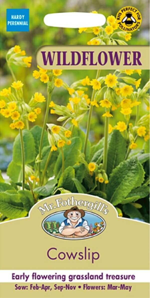 【種子】Mr.Fothergill's Seeds WILDFLOWER Cowslip Primula veris ワイルドフラワー カウスリップ・プリムラ・ヴェリス ミスター・フォザーギルズシード