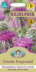 【種子】Mr.Fothergill's Seeds WILDFLOWER Greater Knapweed =Centaurea scabiosa ワイルドフラワー グレイター・ナップウィード（ヤグルマギク）ミスター・フォザーギルズシード