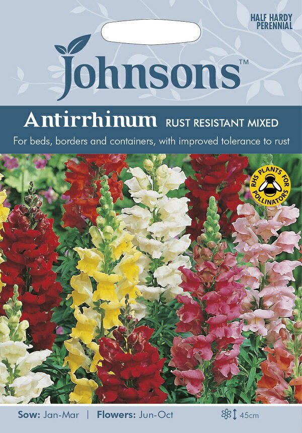 【種子】Johnsons Seeds Antirrhinum Rust Resistant Mixed アンチヒナム（金魚草）ラスト レジスタント ミックス ジョンソンズシード