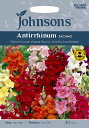 yqzJohnsons Seeds Antirrhinum Sachmo A`qiij Tb` W\YV[h