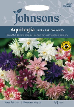 【輸入種子】Johnsons SeedsAquilegia Nora Barlow Mixedアクレイジア（オダマキ）ノーラ・バロウ・ミックスジョンソンズシード