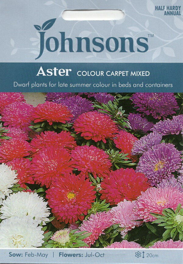 Johnsons Seeds Aster Colour Carpet Mixed アスター カラーカーペットミックス ジョンソンズシード