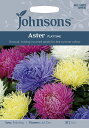 yqzJohnsons Seeds Aster Playtime AX^[ vC^C W\YV[h