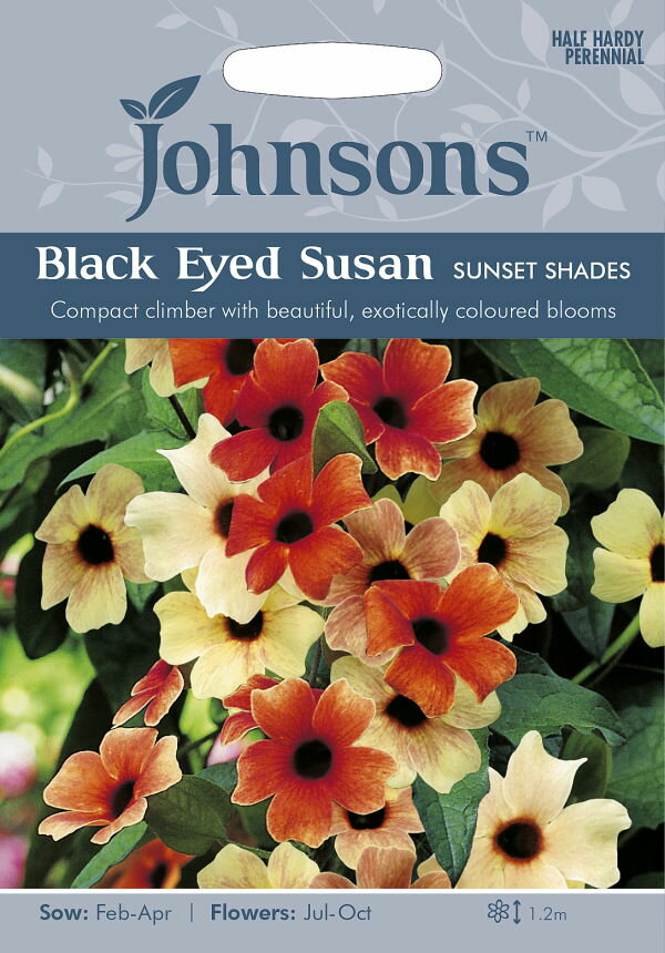 【種子】Johnsons Seeds BLACK EYED SUSAN Sunset Shades ブラックアイド・スーザン（ツンベルギア） サンセット・シェイド ジョンソンズシード