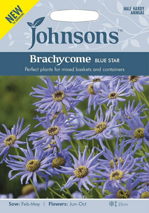 【輸入種子】Johnsons Seeds Brachycome BLUE STAR ブラキカム ブルースター ジョンソンズシード