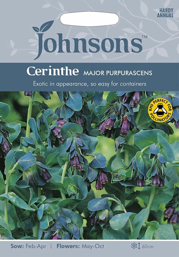 Johnsons Seeds Cerinthe major purpurascens セリンセ・メジャー・プルプラセンス ジョンソンズシード