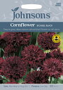 【種子】Johnsons Seeds Cornflower Double Black コーンフラワー（セントーレア） ダブル・ブラック ジョンソンズシード