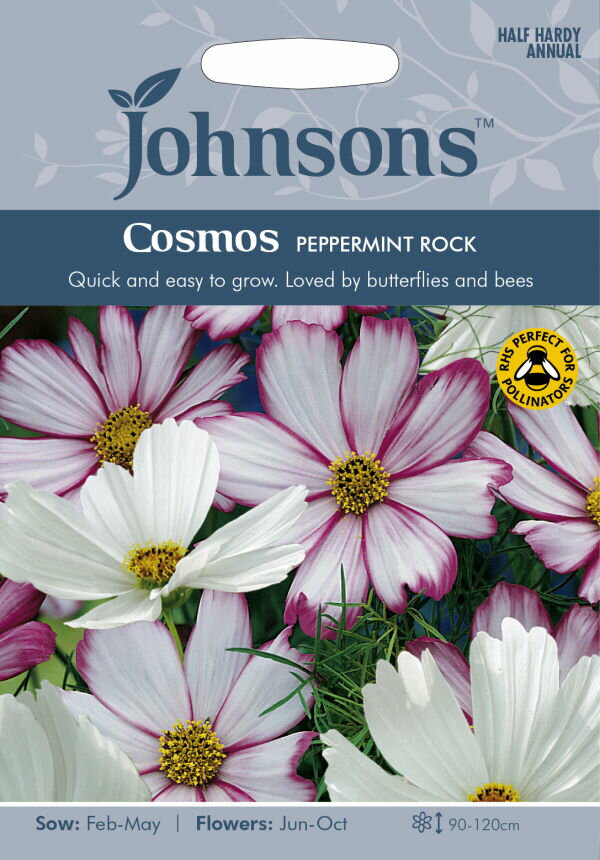 【種子】Johnsons Seeds Cosmos Peppermint Rock コスモス・ペパーミント・ロック ジョンソンズシードのサムネイル