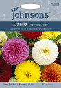 Johnsons Seeds Dahlia Showpiece Mixed ダリア・ショーピース・ミックス ジョンソンズシード