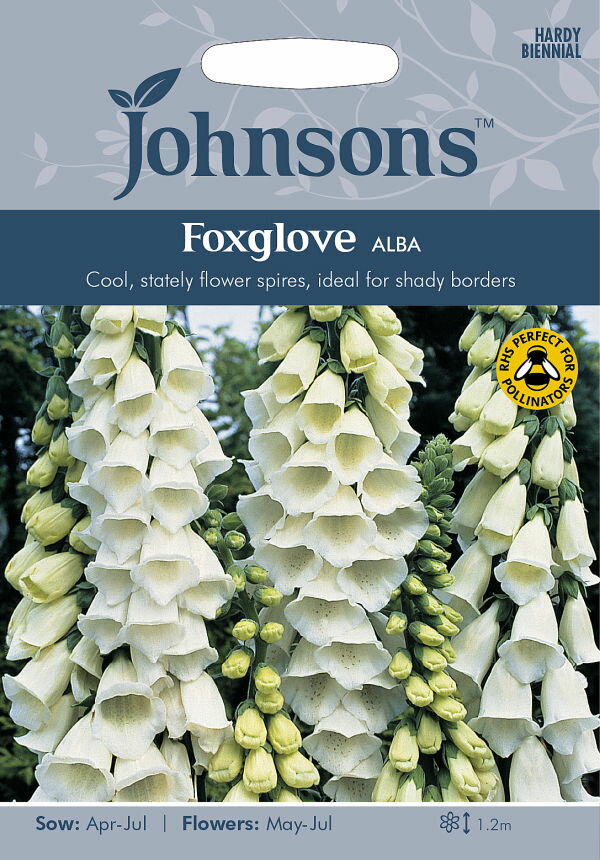 【種子】Johnsons Seeds Foxglove ALBA フォックスグローブ（ジギタリス） アルバ ジョンソンズシード