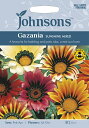 yqzJohnsons Seeds Gazania Sunshine Mixed KUjA TVC ~bNX W\YV[h