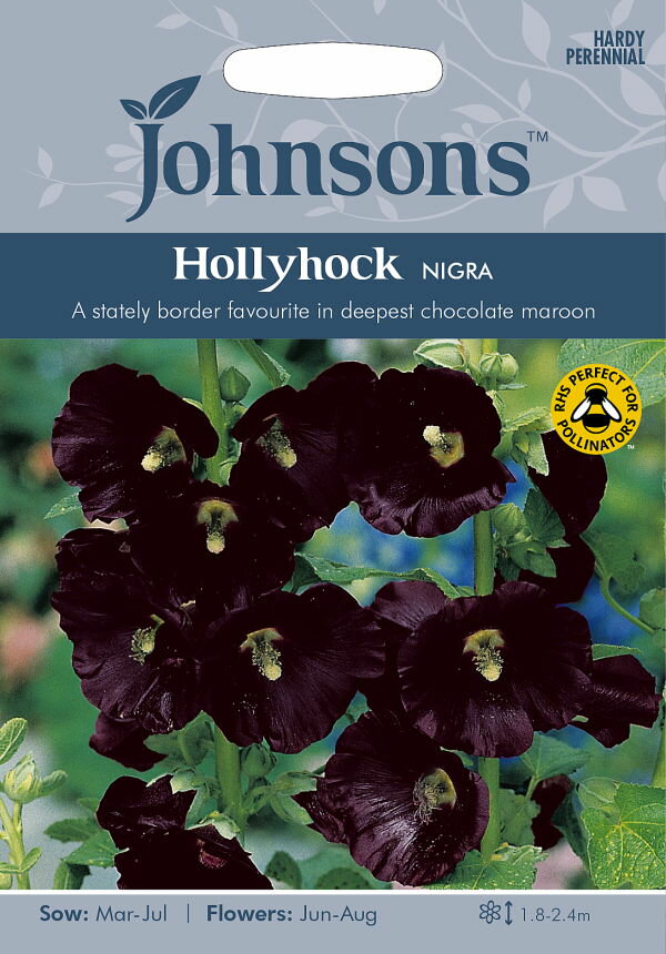 【種子】Johnsons Seeds Hollyhock NIGRA ホリホック（タチアオイ）・ニゲラ ジョンソンズシードのサムネイル