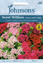 【種子】Johnsons Seeds Sweet William Indian Carpet Mixed スイート・ウイリアム(なでしこ)インディアン・カーペッ...