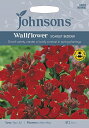 【種子】Johnsons Seeds Wallflower SCARLET BEDDER ウォールフラワー スカーレット ベッダー ジョンソンズシード