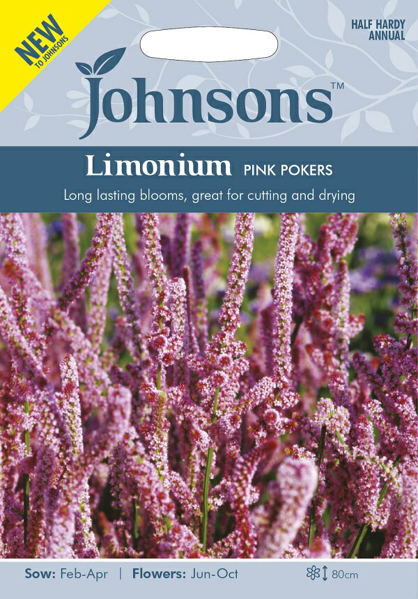【種子】Johnsons Seeds Limonium PINK POKERS リモニューム ピンク・ポーカーズ ジョンソンズシード その1