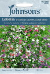【種子】Johnsons Seeds Lobelia COLOUR CASCADE MIXED ロベリア(トレイリング) カラー・カスケイド・ミックス ジョンソンズシード