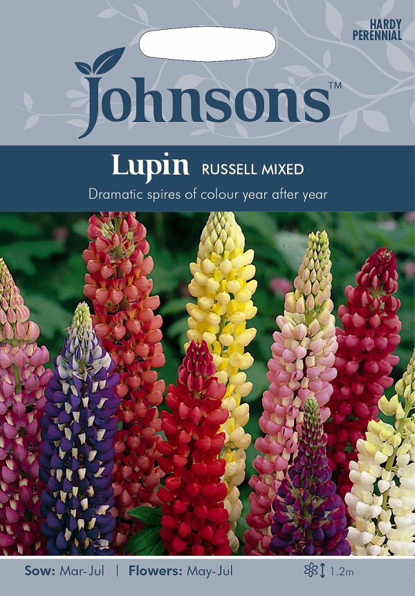 【種子】Johnsons Seeds Lupin RUSSELL MIXED ルーピン（ルピナス） ラッセル ミックス ジョンソンズシードのサムネイル