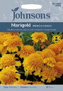 Johnsons Seeds Marigold (FRENCH) CHASCA マリーゴールド（フレンチ） チャスカ ジョンソンズシード