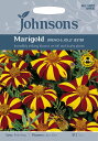 【輸入種子】Johnsons SeedsMarigold (...