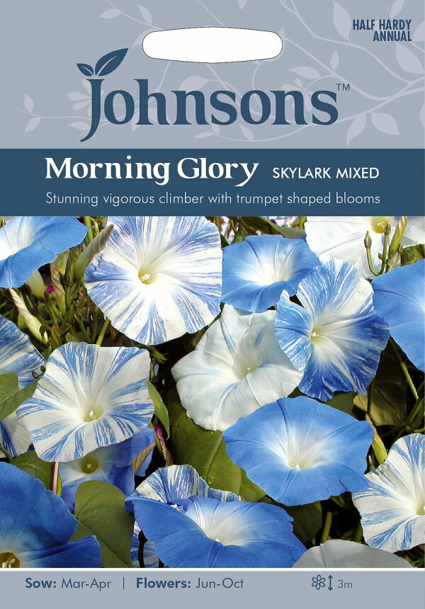 【種子】Johnsons Seeds Morning Glory SKYLARK MIXED モーニング グローリー（西洋朝顔) スカイラーク ミックス ジョンソンズシード