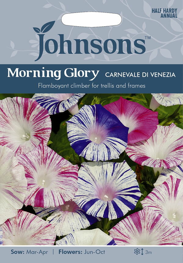 【種子】Johnsons Seeds Morning Glory Carnevale di Venezia モーニング グローリー（西洋朝顔) カーニバル デ ヴェネツィア ジョンソンズシード