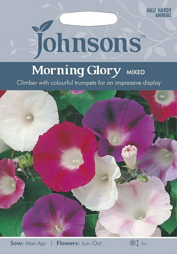 【種子】Johnsons Seeds Morning Glory MIXED モーニング グローリー ミックス ジョンソンズシード