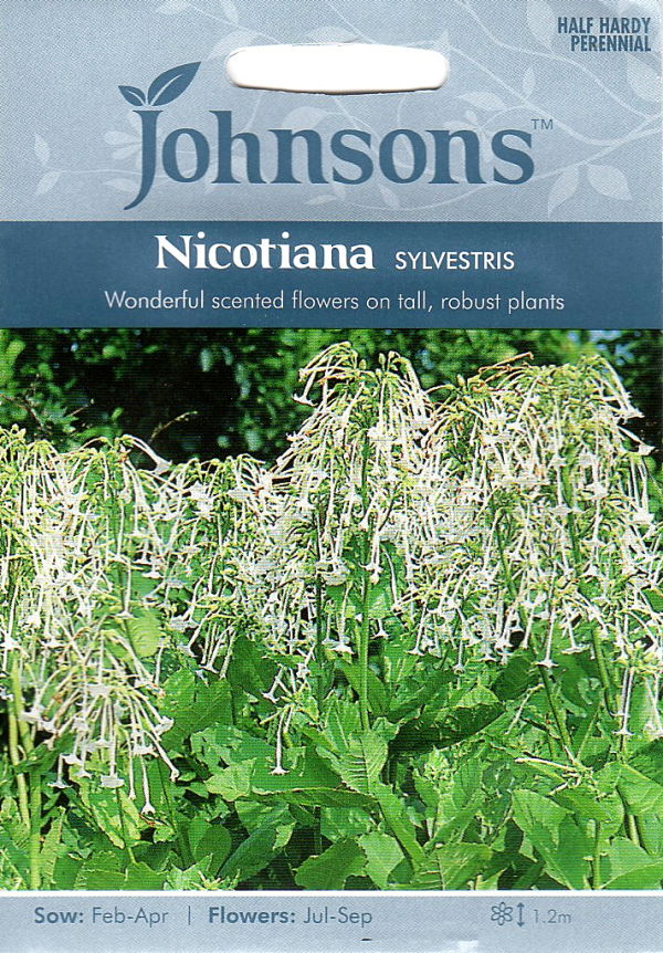 Johnsons Seeds Nicotiana sylvestris ニコチアナ（ハナタバコ） シルベストリス ジョンソンズシード