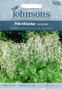 【種子】Johnsons Seeds Nicotiana sylvestris ニコチアナ ハナタバコ シルベストリス ジョンソンズシード