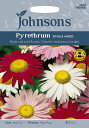 Johnsons Seeds Pyrethrum Single Mixed ピレスラム（除虫菊） シングル・ミックス ジョンソンズシード