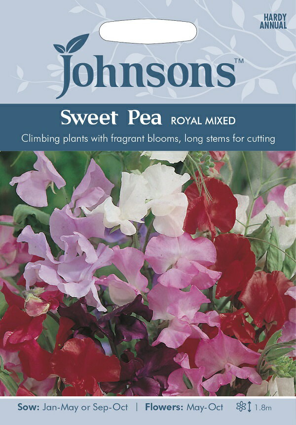 【種子】Johnsons Seeds Sweet Pea ROYAL MIXED スイートピー ロイヤル・ミックス ジョンソンズシードのサムネイル