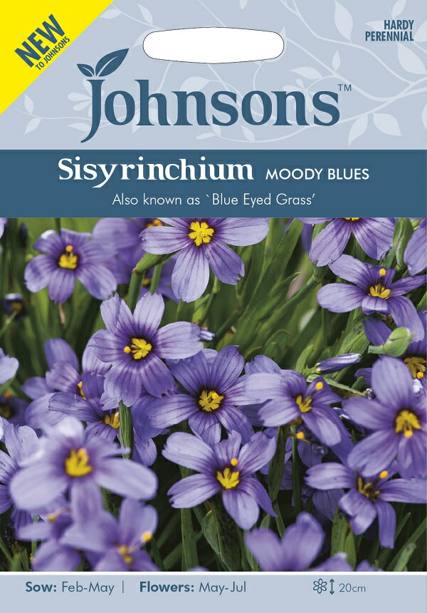 【種子】Johnsons Seeds Sisyrinchium MOODY BLUES シシリンチウム ムーディー・ブルース ジョンソンズシード