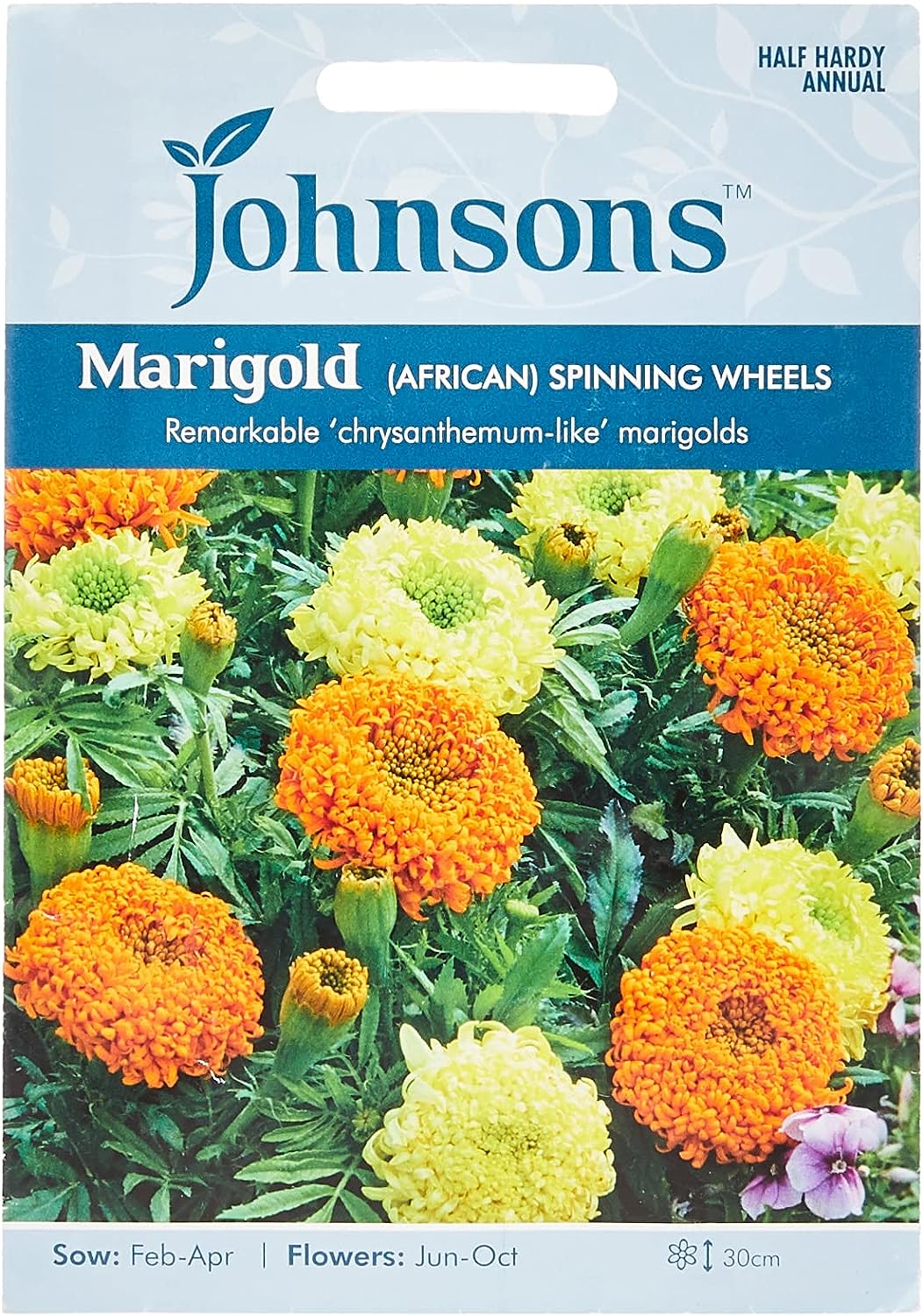 Johnsons Seeds Marigold (AFRICAN) SPINNING WHEELS マリーゴールド （アフリカン） スピニング ホイール ジョンソンズシード