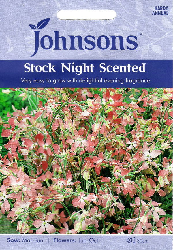 【種子】Johnsons Seeds Stock Night Scented ストック ナイト センテッド ジョンソンズシード