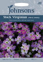 【種子】Johnsons Seeds Stock Virginian Spring Sparkle ストック ヴァージニアン スプリング スパークル ジョンソンズシード